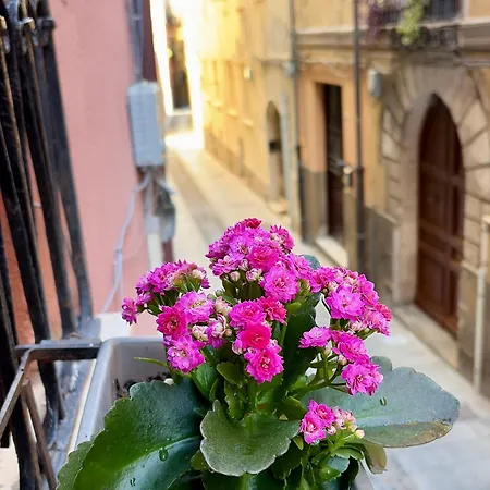 Lejlighed La Casetta In Castello Centro